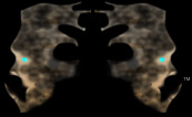 Polomusic�TradeMark